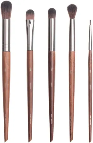 5 Pieces of Eye Shadow Brush Set Nose Shadow Brush Highlight Brush Beauty Tools Eyeliner Brush Makeup Brush