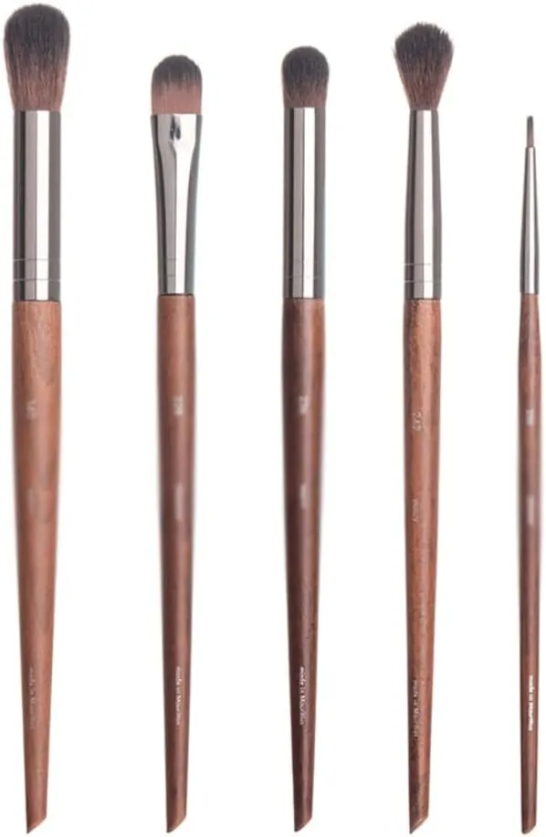 5 Pieces of Eye Shadow Brush Set Nose Shadow Brush Highlight Brush Beauty Tools Eyeliner Brush Makeup Brush