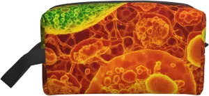 adherent eukaryotic cells seen through a microscop Print Make Up Bag Purses Accessories Organizer Portable Travel Toiletry Pouch Storage Bag