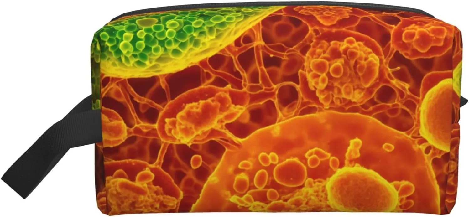 adherent eukaryotic cells seen through a microscop Print Make Up Bag Purses Accessories Organizer Portable Travel Toiletry Pouch Storage Bag