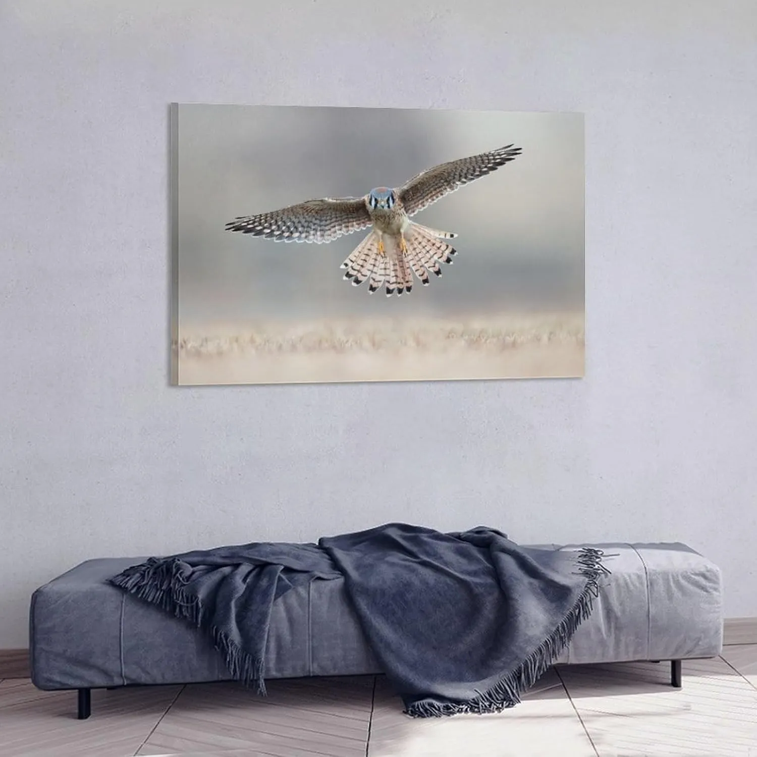 American Kestrel Female Landing Room Aesthetics Posters Canvas Posters Bedroom Decoration Sports Office Decoration Gifts Wall Art Decoration Printing Posters 24x36inch(60x90cm)