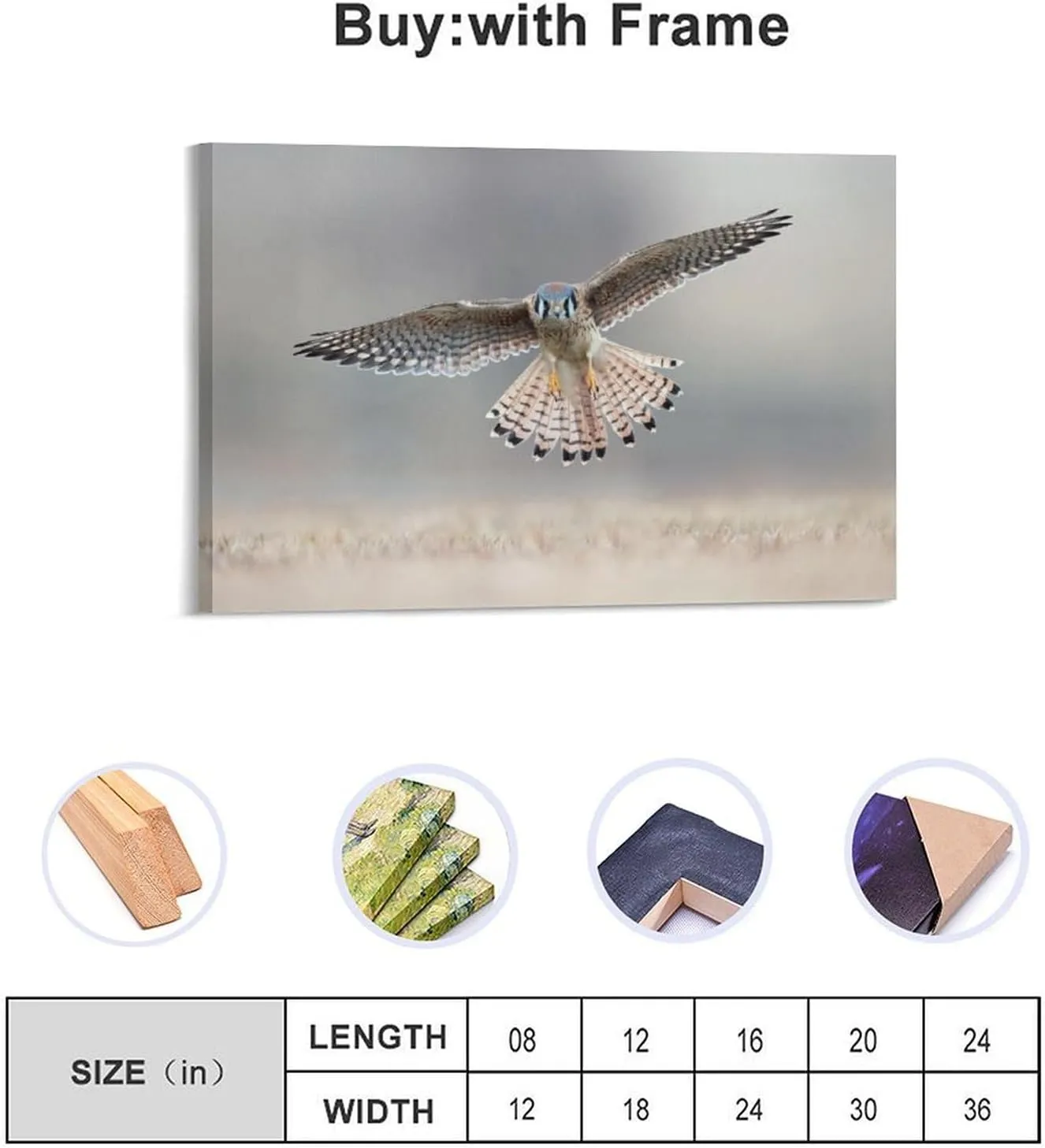 American Kestrel Female Landing Room Aesthetics Posters Canvas Posters Bedroom Decoration Sports Office Decoration Gifts Wall Art Decoration Printing Posters 24x36inch(60x90cm)
