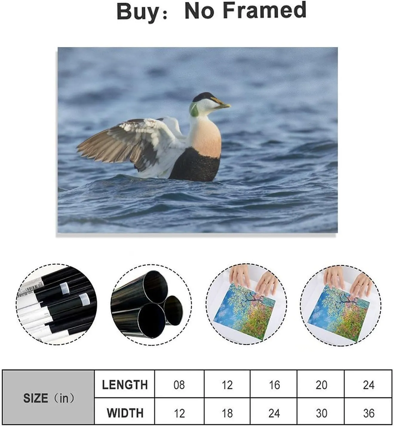 Common Eider Waterbird Room Aesthetics Posters Canvas Posters Bedroom Decoration Sports Office Decoration Gifts Wall Art Decoration Printing Posters 16x24inch(40x60cm)