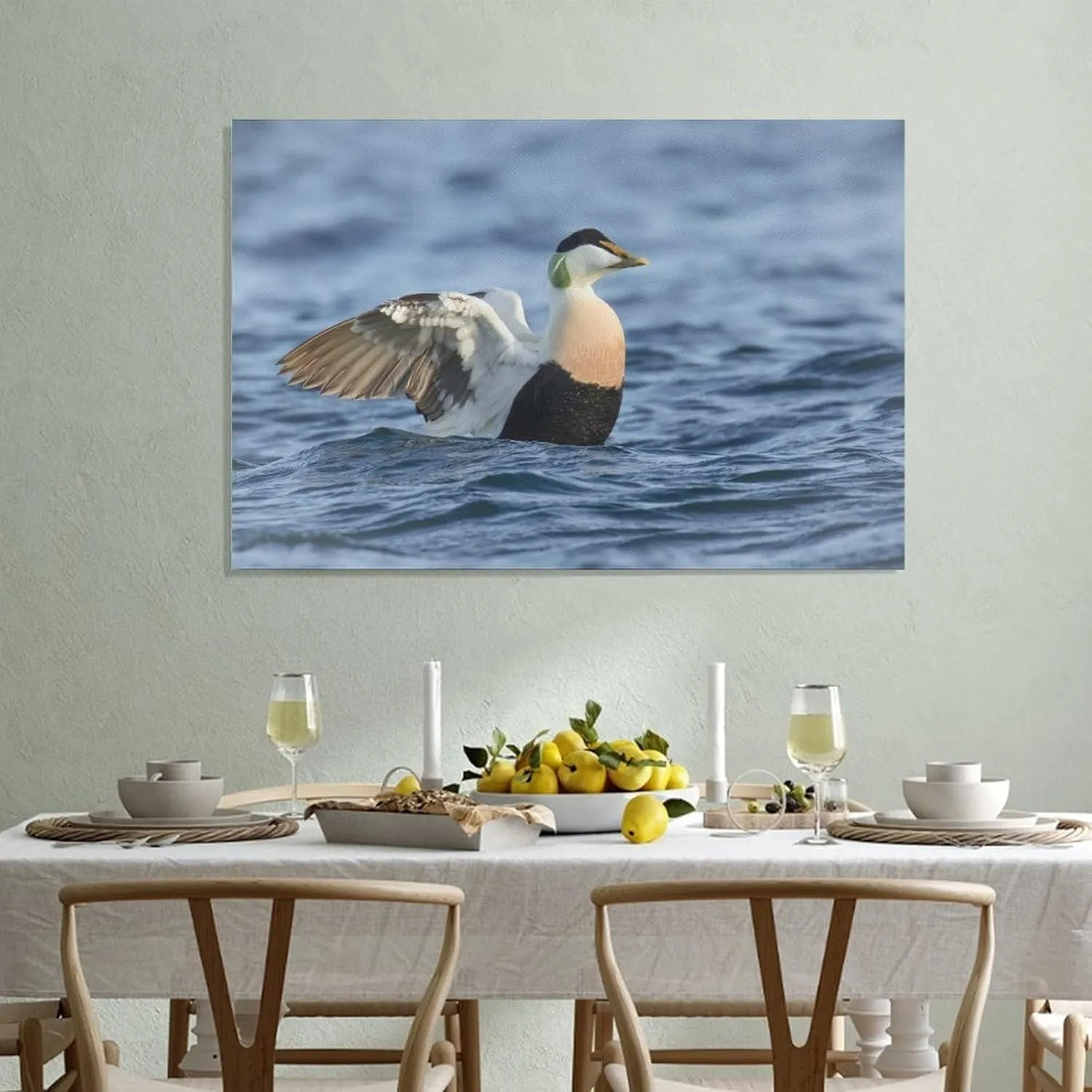Common Eider Waterbird Room Aesthetics Posters Canvas Posters Bedroom Decoration Sports Office Decoration Gifts Wall Art Decoration Printing Posters 16x24inch(40x60cm)