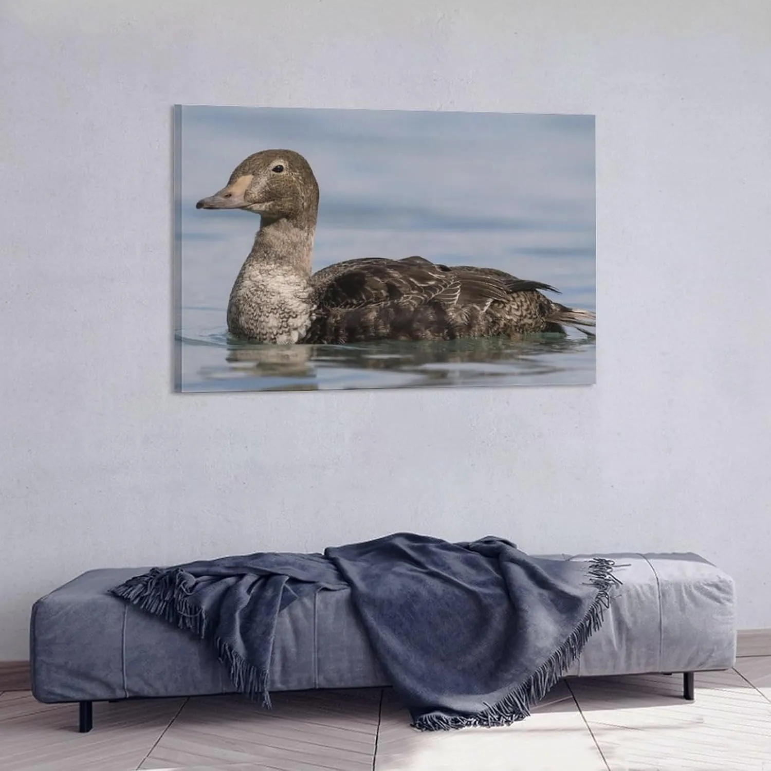 MACGRIP King Eider Bird Brown Female Sea Duck Room Aesthetics Posters Canvas Posters Bedroom Decoration Sports Office Decoration Gifts Wall Art Decoration Printing Posters 12x18inch(30x45cm)