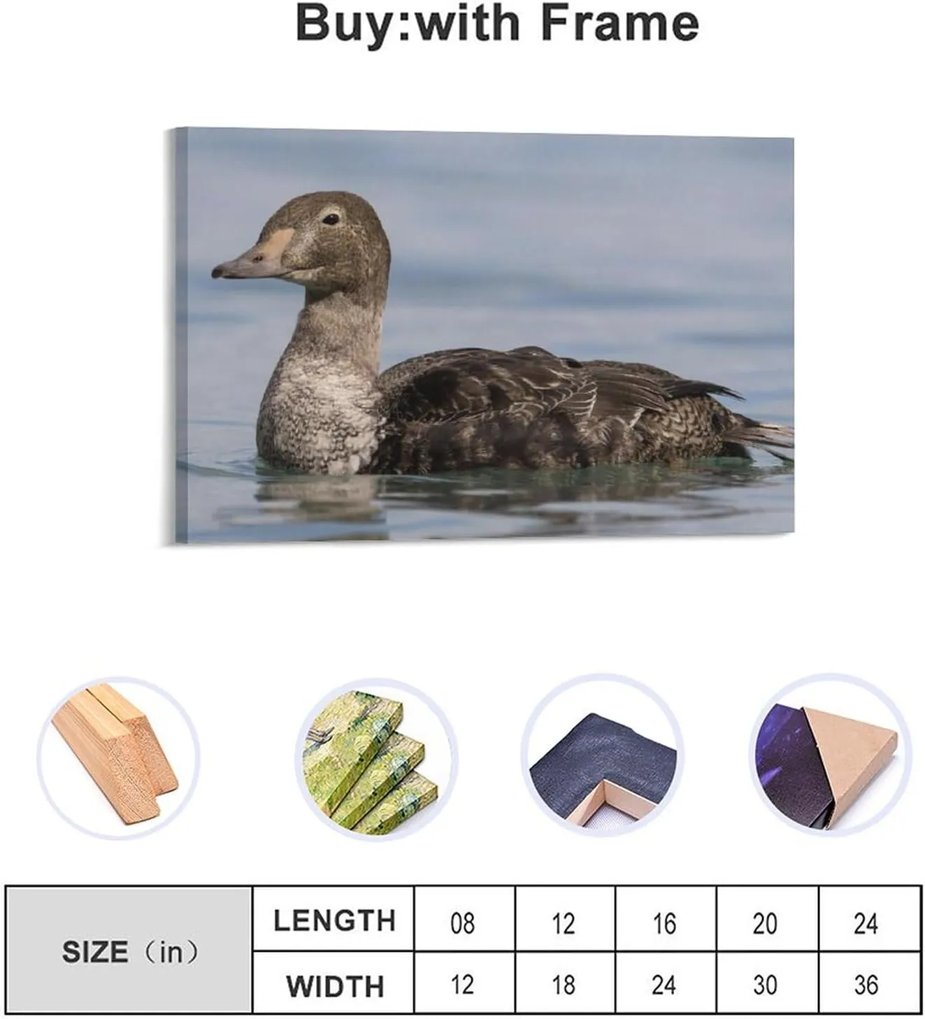 MACGRIP King Eider Bird Brown Female Sea Duck Room Aesthetics Posters Canvas Posters Bedroom Decoration Sports Office Decoration Gifts Wall Art Decoration Printing Posters 12x18inch(30x45cm)