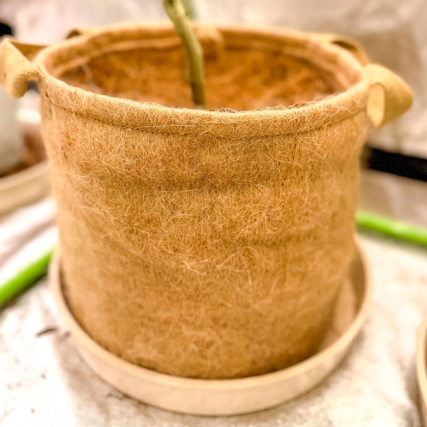 Non-Woven Jute Fabric Grow Bag with Handles, Biodegradeable Pot, 100% Natural Fiber, Breathable, Fast Root Growth, Available in 3 & 5 Gallon. (1, 5 Gallon)