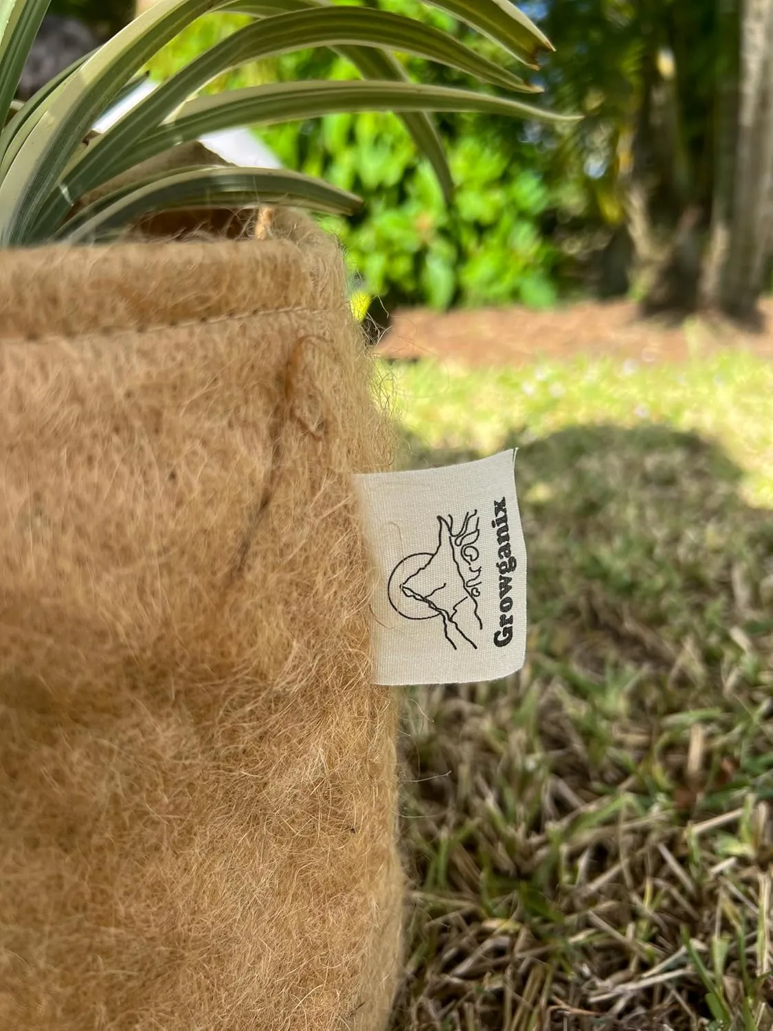Non-Woven Jute Fabric Grow Bag with Handles, Biodegradeable Pot, 100% Natural Fiber, Breathable, Fast Root Growth, Available in 3 & 5 Gallon. (1, 5 Gallon)