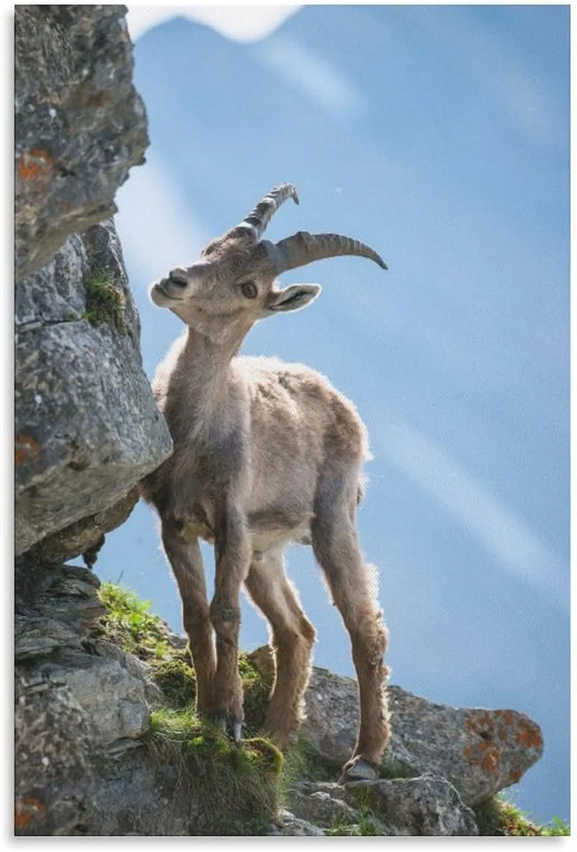 Young Alpine Ibex Rock Room Aesthetics Posters Canvas Posters Bedroom Decoration Sports Office Decoration Gifts Wall Art Decoration Printing Posters 20x30inchs(50x75cm)