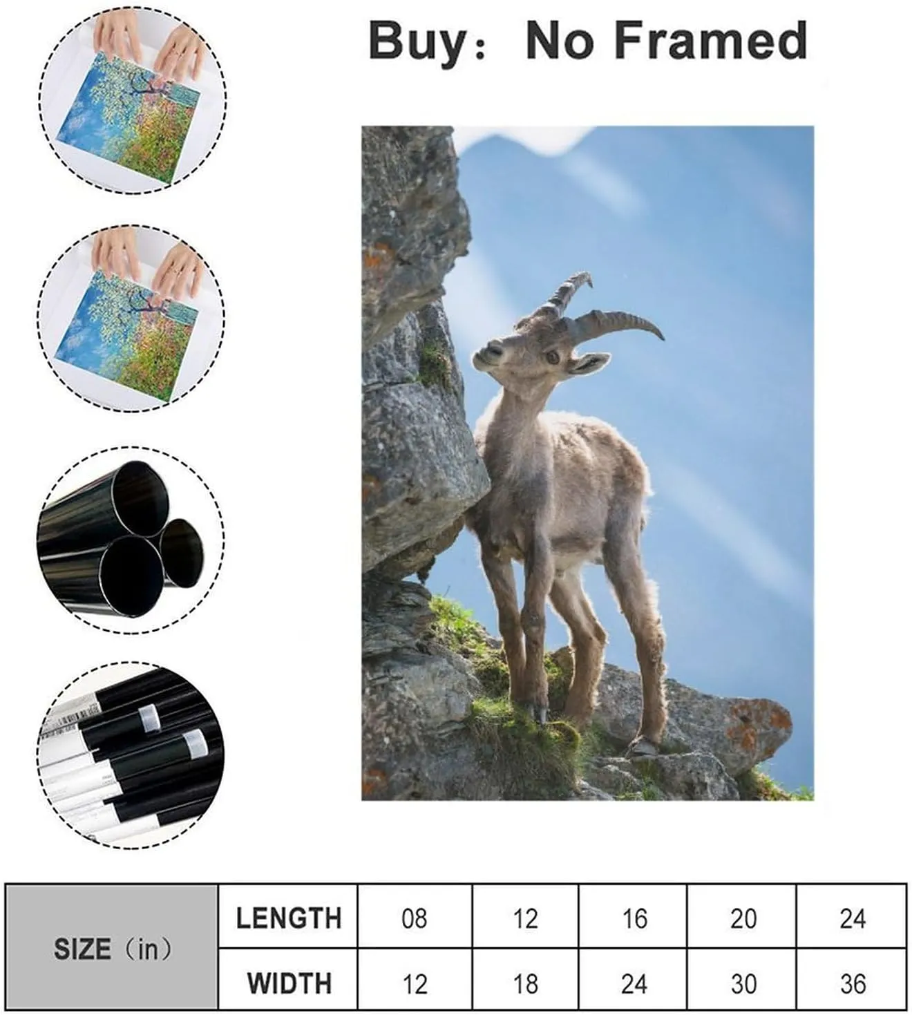 Young Alpine Ibex Rock Room Aesthetics Posters Canvas Posters Bedroom Decoration Sports Office Decoration Gifts Wall Art Decoration Printing Posters 20x30inchs(50x75cm)