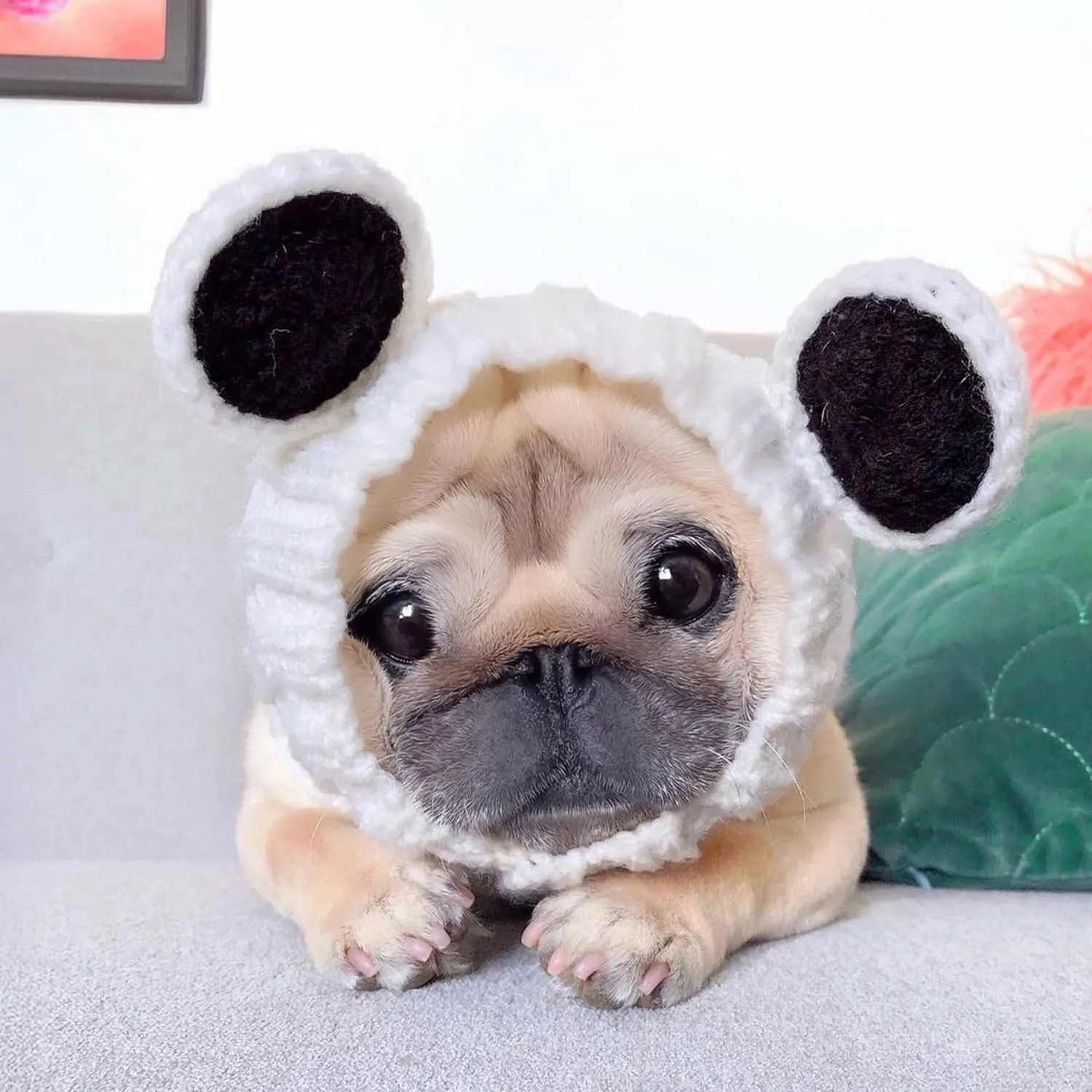 Zoo Snoods Panda Costume - Warm Knit Dog Snood Wrap for Pets, Neck Ear Cover Protection, Halloween Winter (Medium)