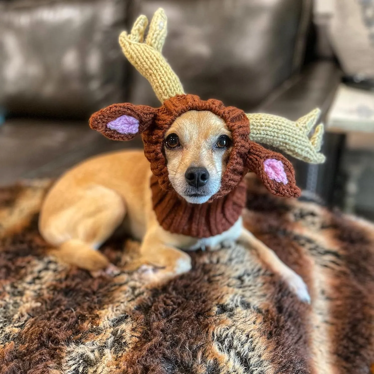 Zoo Snoods Reindeer Costume - Deer Antler Knit Dog Snood Wrap for Pets, Warm Neck Ear Cover Protection for Halloween and Winter (Small)